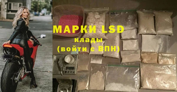 гашик Белокуриха