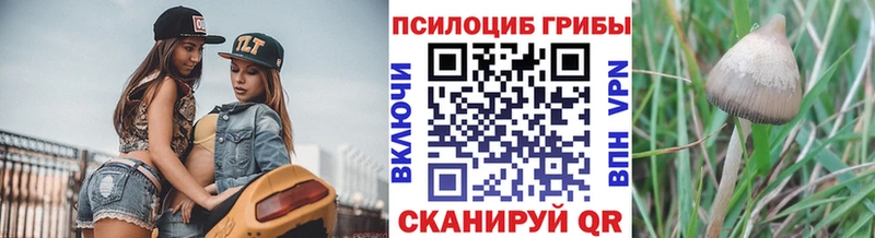 Галлюциногенные грибы Psilocybe  Среднеуральск 